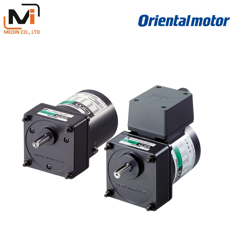 AC Motor - Reversible Motors